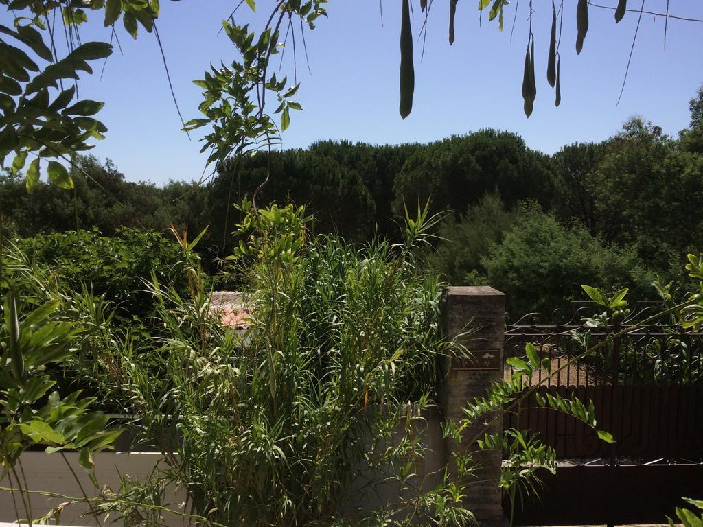 סן טרופז Maison D'Elie מראה חיצוני תמונה